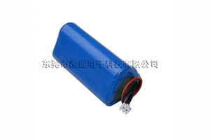 12V2600mAh鋰電池組